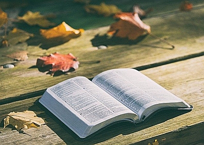 Bible
